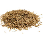Seeds in pile
