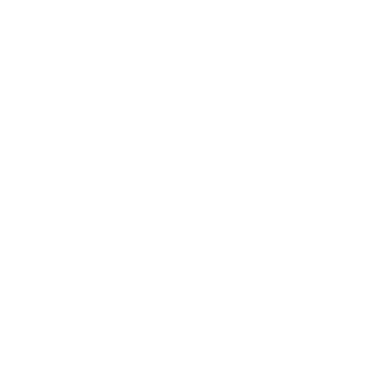 Berner Protecting tomorrow logo