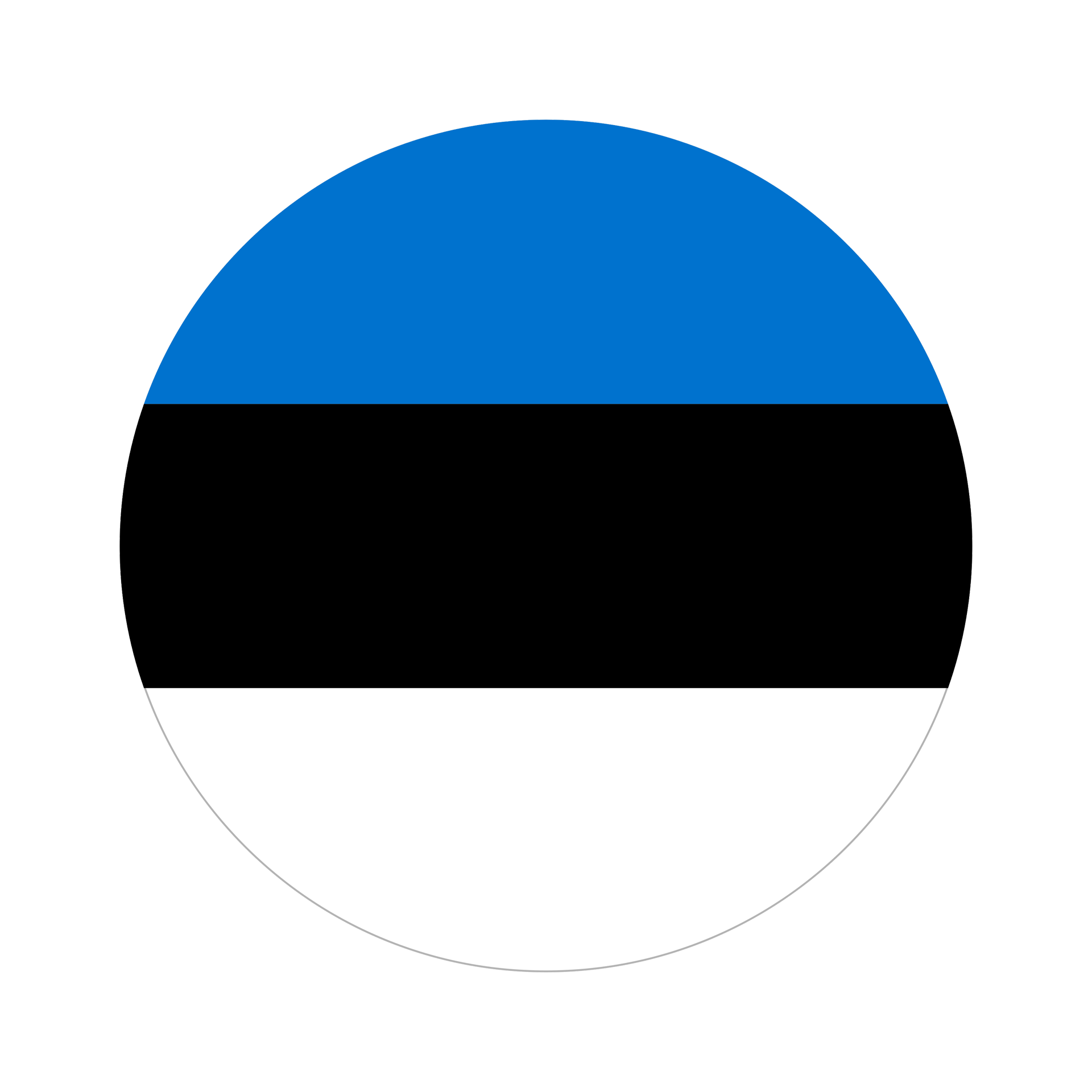 Estonian flag round