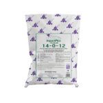 Impact Plus Accelerate