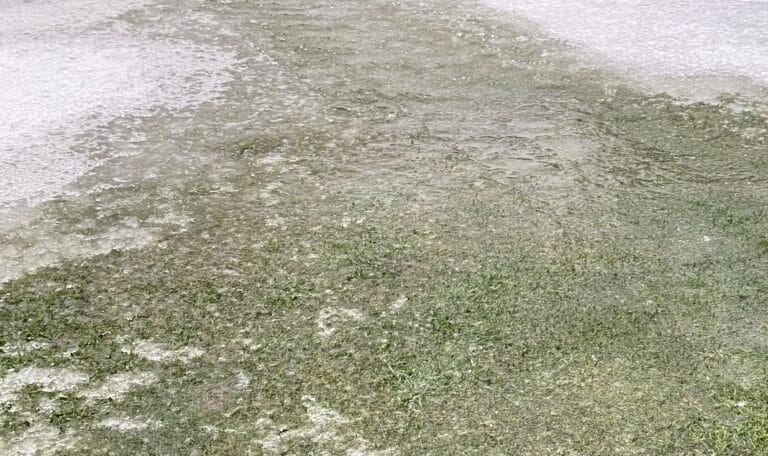 ice on top of green